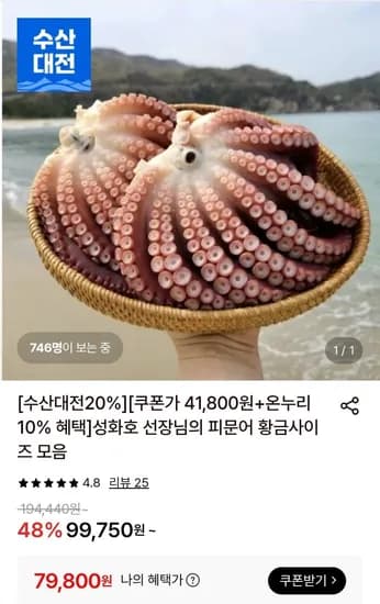 피문어 2kg