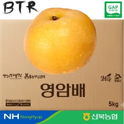 신북농협 26년 영암 정품 GAP 신고배 5kg 6-8과 제수용