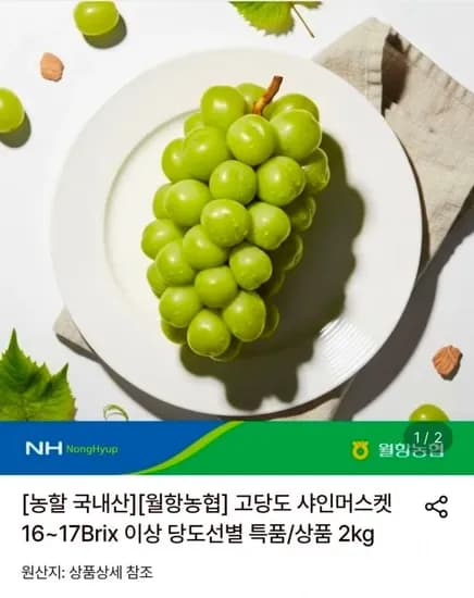 고당도 샤인머스켓 당도선별 특품 2kg 4수
