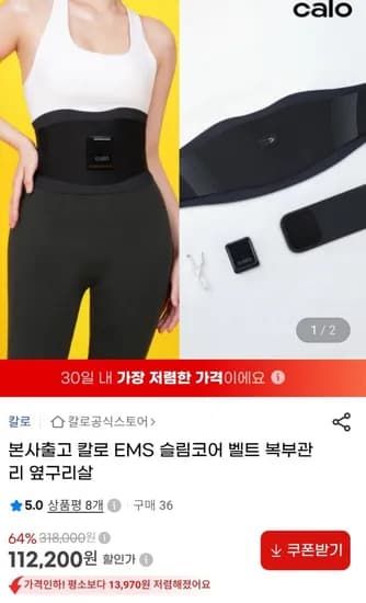 칼로 EMS 다이어트 벨트 외 다양