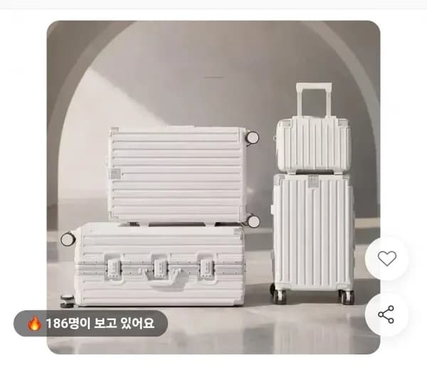 폴리카보네이트 TSA 캐리어 20인치
