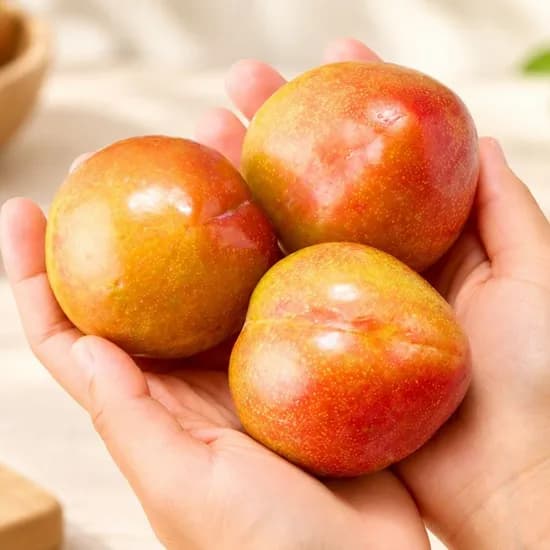 영천 노지 자두 2kg