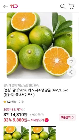 제주 제철 노지조생 감귤 중과 5kg