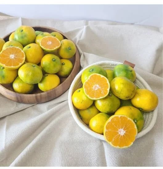 제주 햇 극조생 감귤 4.5kg 외 9kg