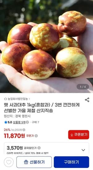 햇 사과대추 1kg 혼합과