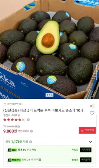 바로먹는 후숙 아보카도 중소과 10개
