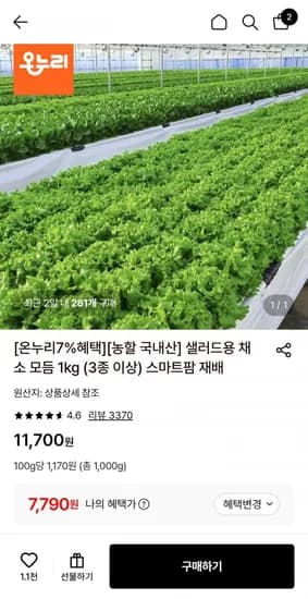 샐러드용 채소 모듬 1kg 3종 이상 스마트팜 재배 7,790원