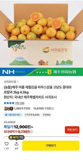제주 하우스감귤 중대과 로얄과 2kg