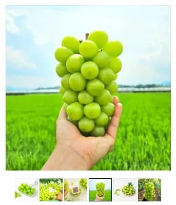 김천 샤인 머스켓 알알이 포장 400g 2팩 9,900원