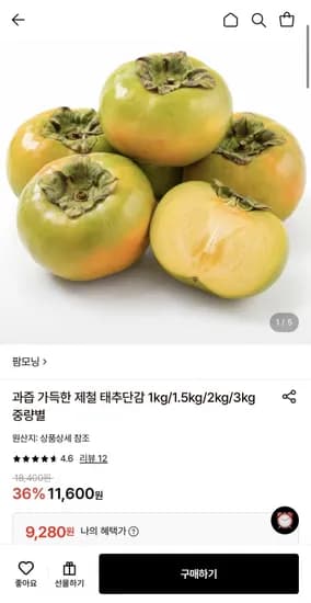 제철 태추단감 1kg 6~8과 9,280원