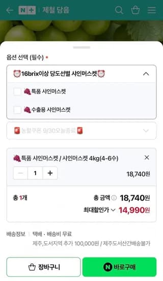 국내산 고당도 샤인머스켓 특품 4kg 4-6수
