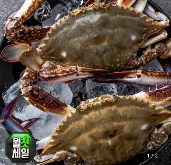 꽃게 수꽃게 2kg 2,990원