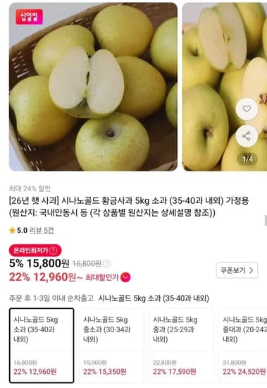 시나노골드 황금사과 가정용 5kg 소과