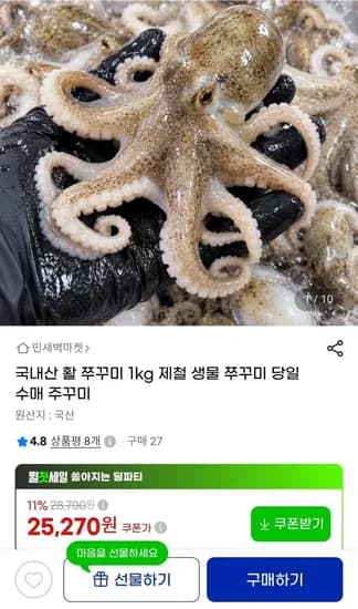 국내산 활 쭈꾸미 1kg