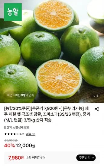 제주 햇 극조생 감귤 꼬마소과 5kg