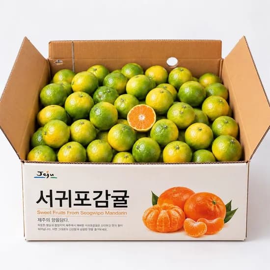 햇 조생감귤 9kg