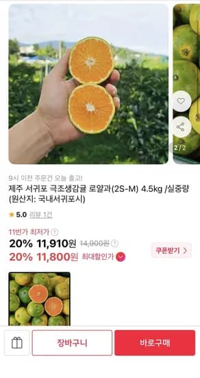 제주 서귀포 극조생감귤 로얄과 4.5kg 11,910원