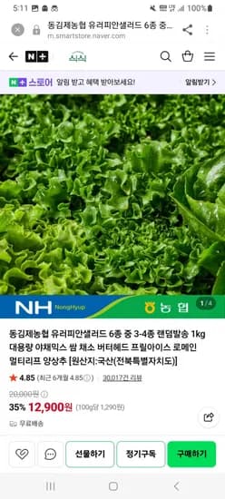 유러피안 샐러드 1kg 9,700원