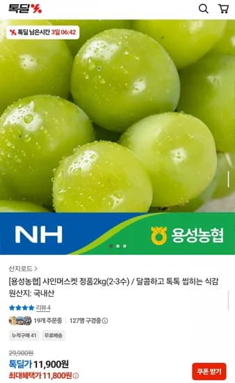 용성농협 샤인머스켓 정품 2kg 2~3수