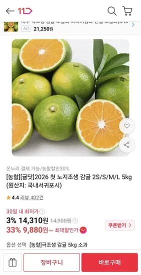 노지감귤 5kg 중과