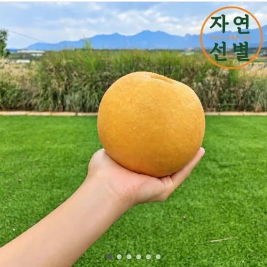 2026 햇배 대과 2.5kg 8,750원