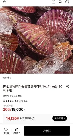 통영 홍가리비 4kg