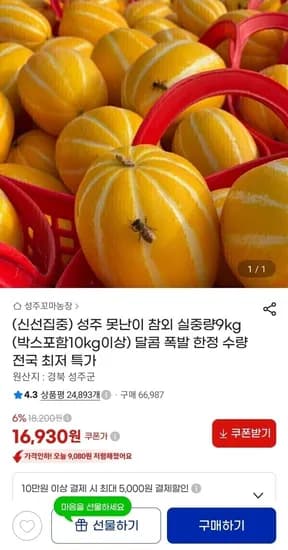 못난이 참외 실중량 9kg