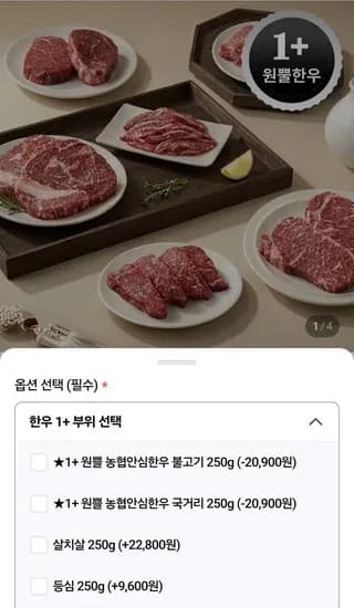 농협안심한우 불고기 250g