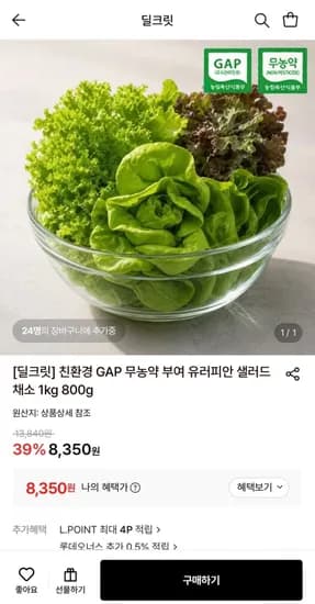 친환경 GAP 무농약 부여 유러피안 샐러드 채소 1kg