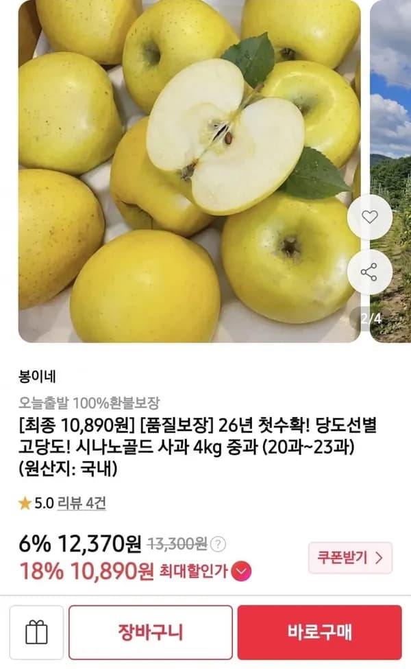 시나노골드 사과 4kg 중과 (20과)