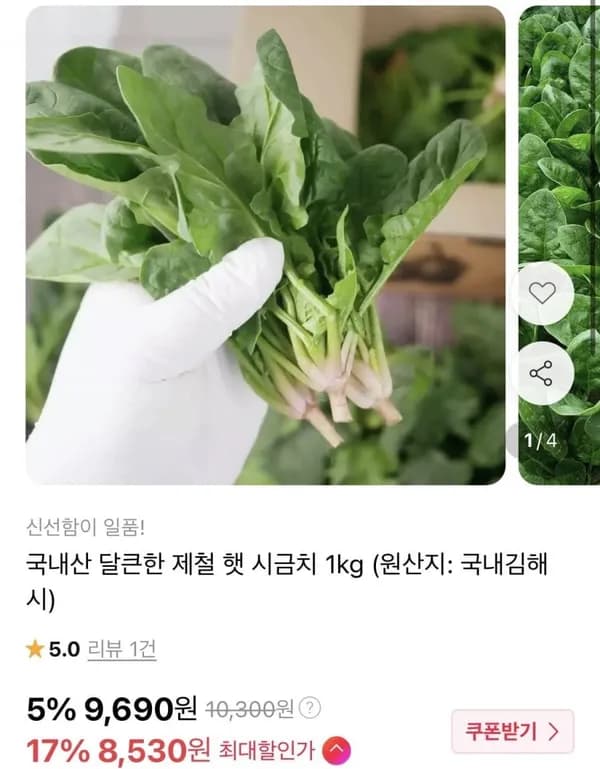 국내산 제철 햇 시금치 1kg 8,530원