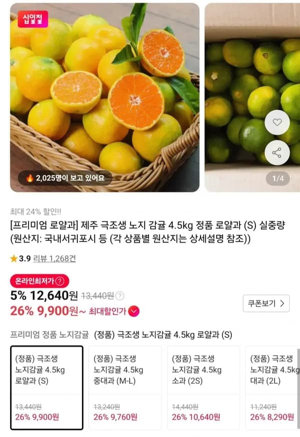 제주 극조생 노지감귤 로얄과 4.5kg 9,900원