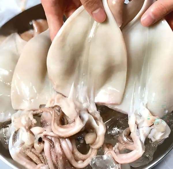 손질오징어 500g 2-3마리 9,870원