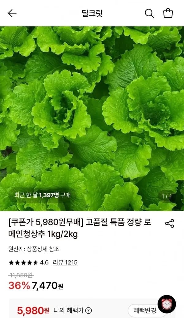 로메인청상추 1kg 5,980원