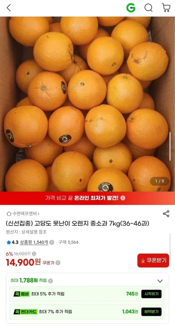 호주 네이블 오렌지 7kg 14,900원