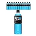 파워에이드 마운틴블라스트 900ml 12개