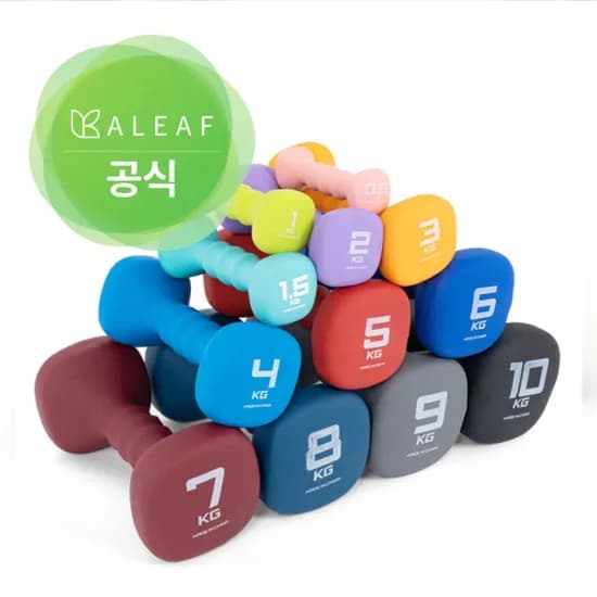 레토 완전 무소음 벽시계 육각 아령 덤벨 2개 세트