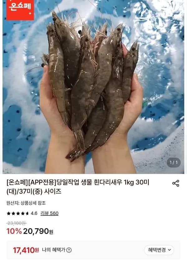 생물 흰다리새우 1kg 30미