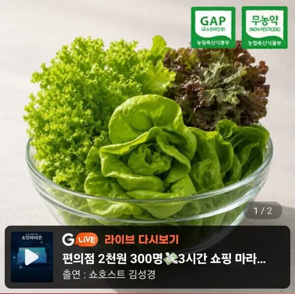 GAP 무농약 부여 유러피안 샐러드 유럽 채소 1kg 7,780원