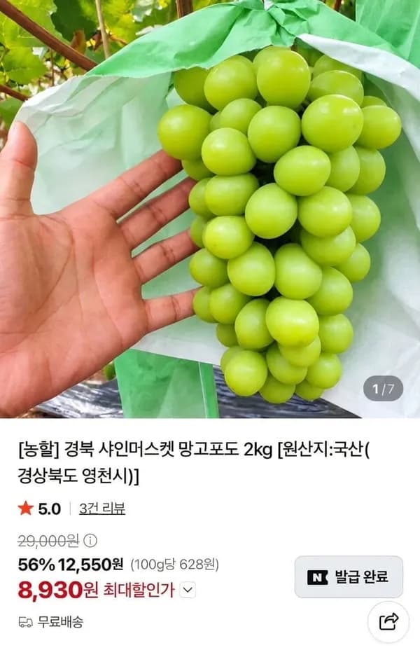 경북 샤인머스켓 2kg 8,930원