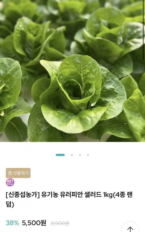 유기농 유러피안 샐러드 1kg(4종 랜덤) 5,500원