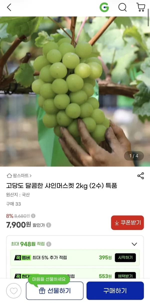 샤인머스켓 2kg 고당도 특품 2수 7,900원
