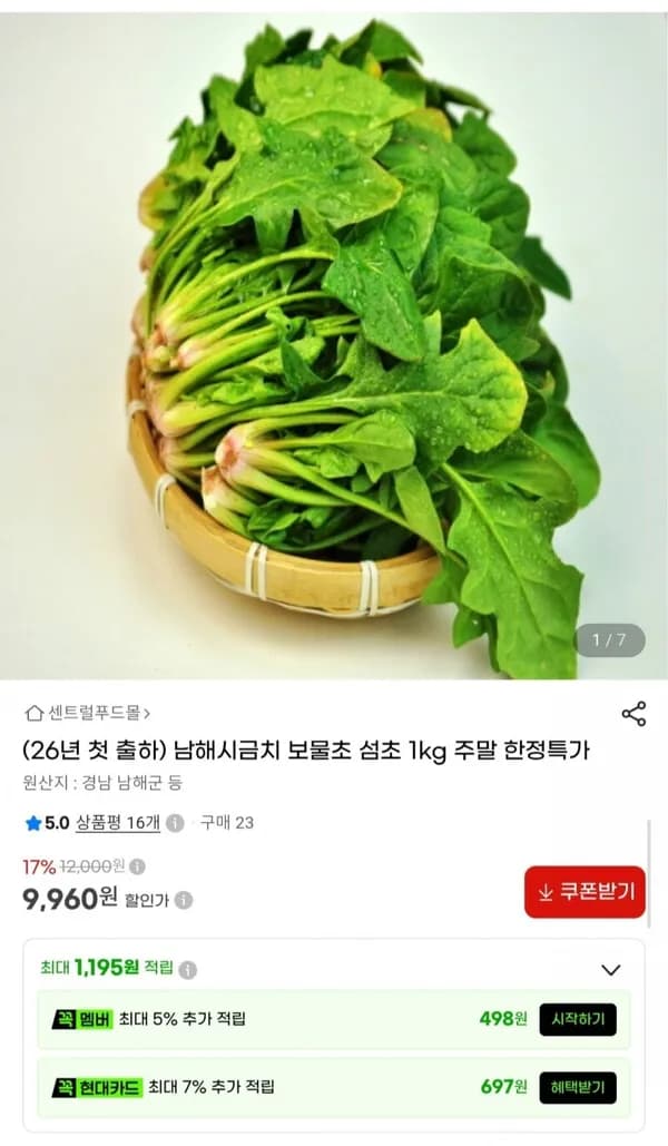 26년 첫 출하 남해 보물초 시금치 1kg 9,960원