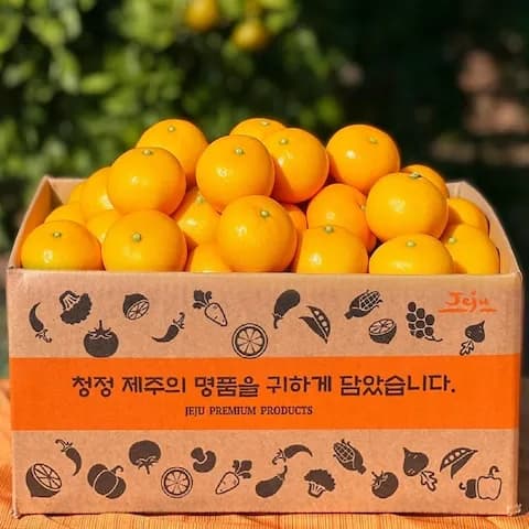 제주 타이벡 감귤 4.5kg 6,399원