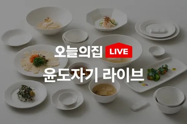 윤도자기 순백 국산 화이트 도자기 2인 홈세트 14P