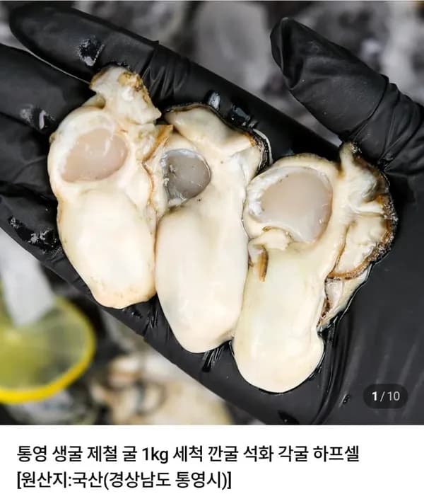 통영 생굴 1kg 9,440원