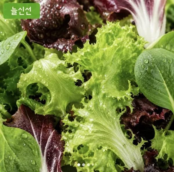 무농약 GAP 유러피안 샐러드 채소 1kg