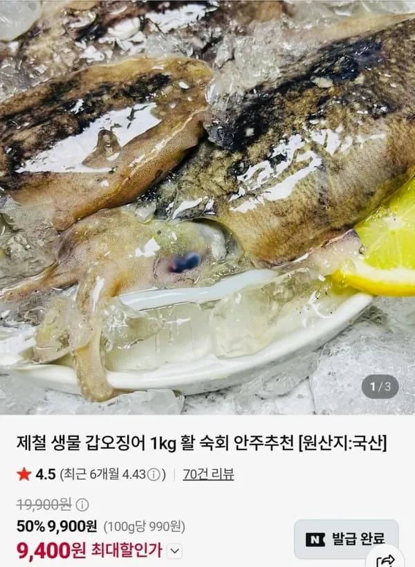 제철 생물 갑오징어 1kg 9,400원