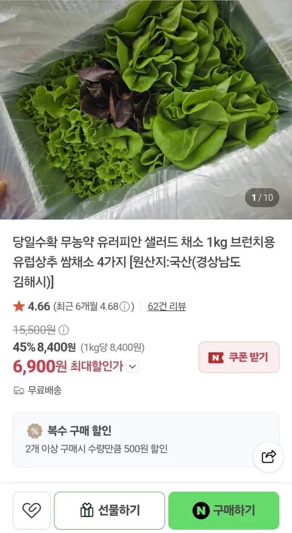 당일수확 무농약 유러피안 샐러드 1kg 6,900원