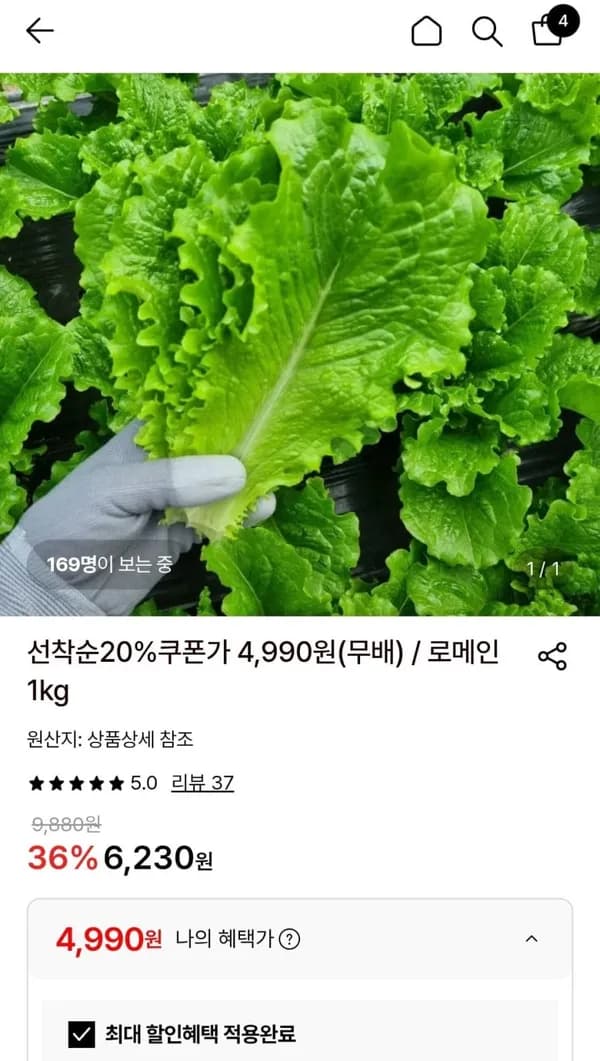 로메인청상추 1kg 4,990원